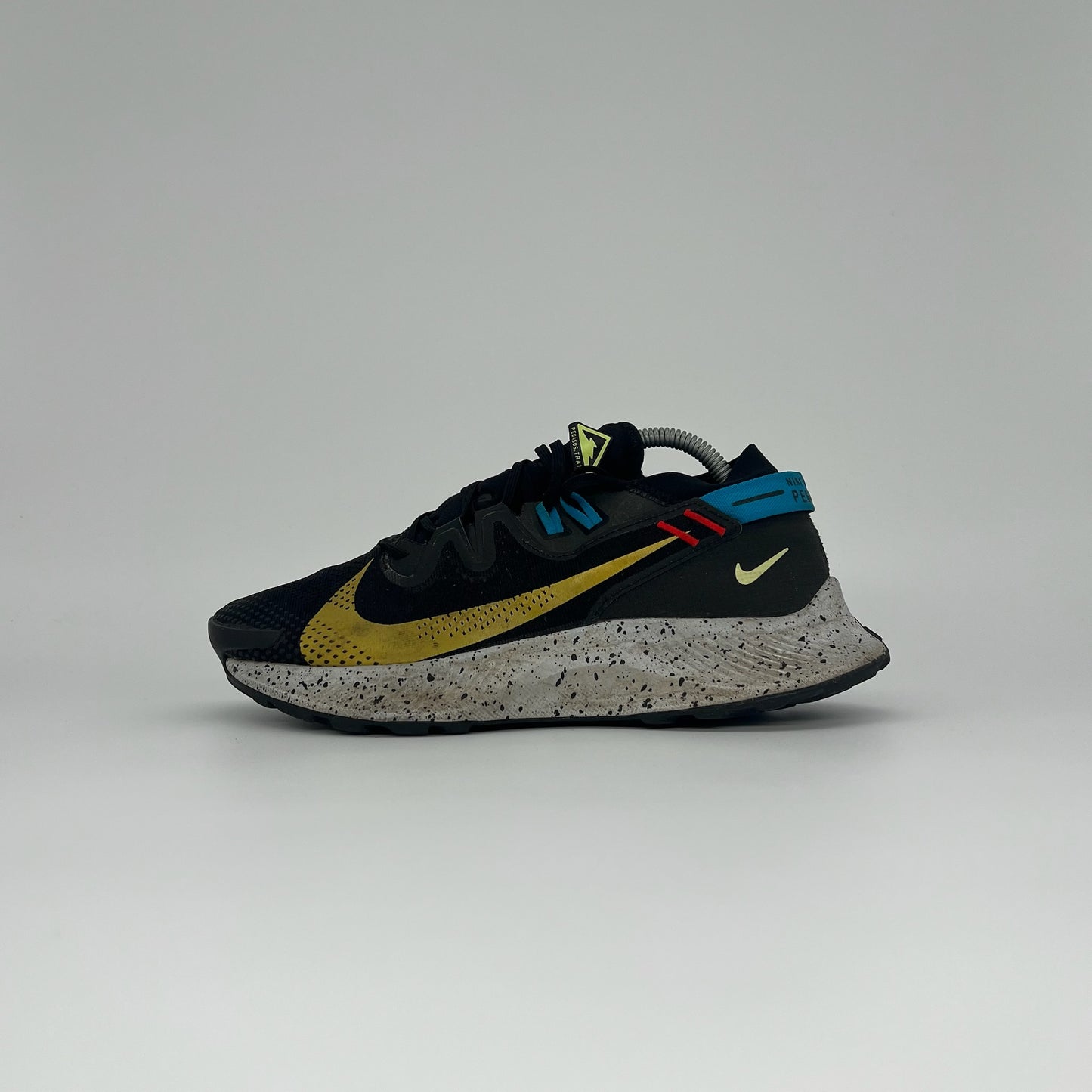 Nike Pegasus Trail