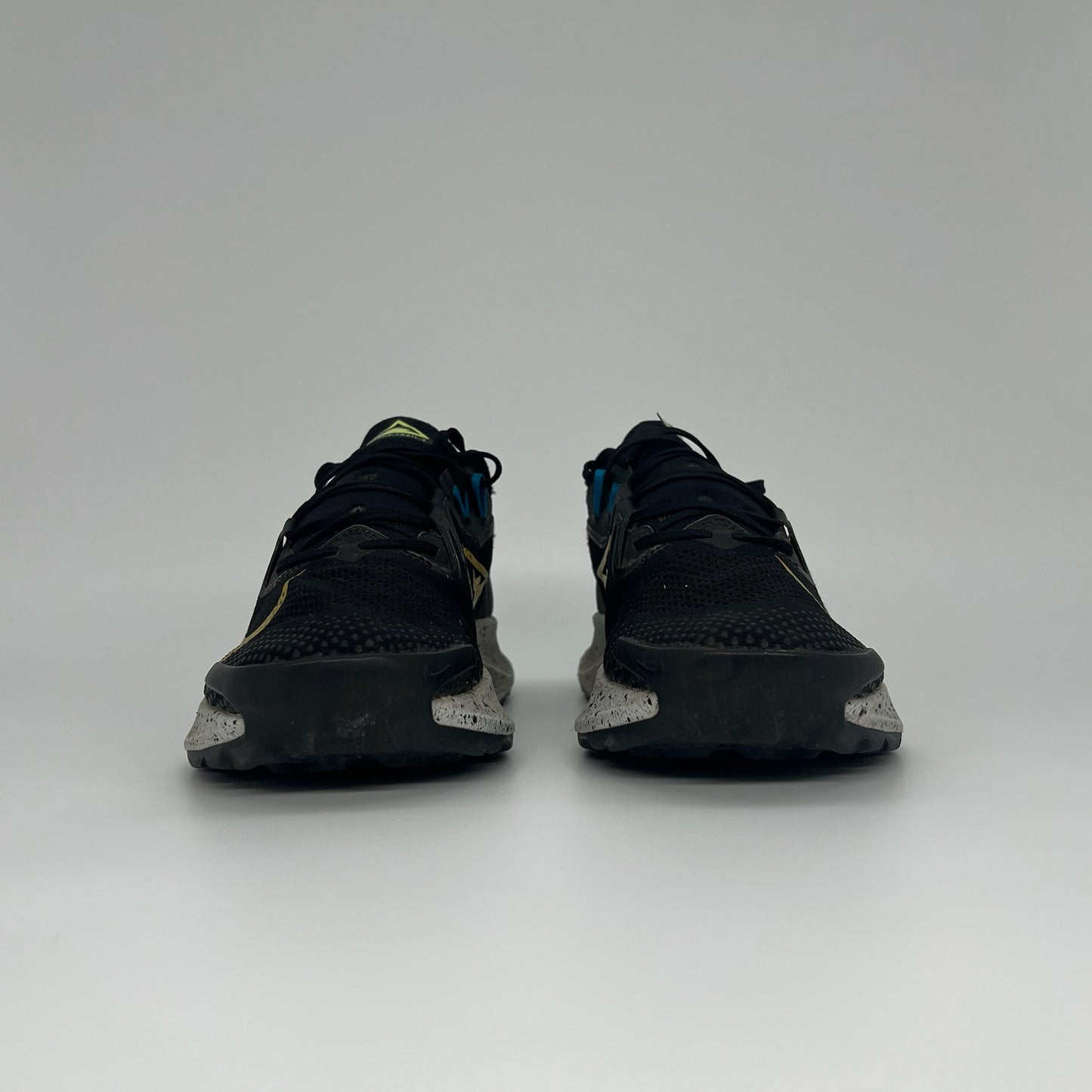 Nike Pegasus Trail