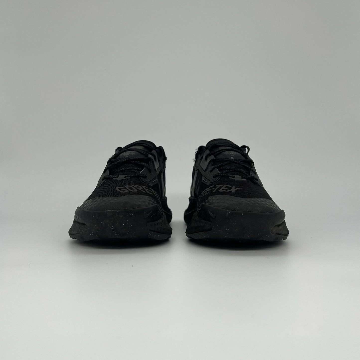Nike Pegasus Trail Goretex