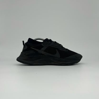 Nike Pegasus Trail Goretex