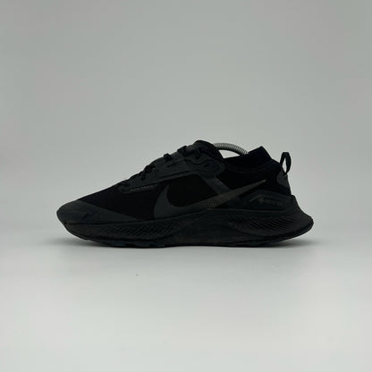 Nike Pegasus Trail Goretex