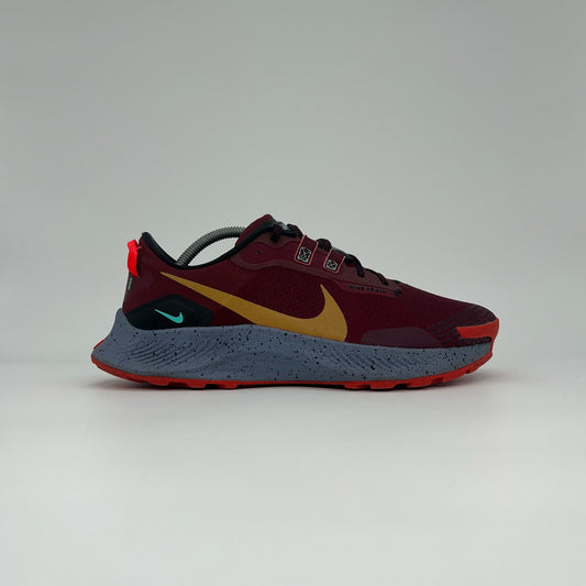 Nike Pegasus Trail