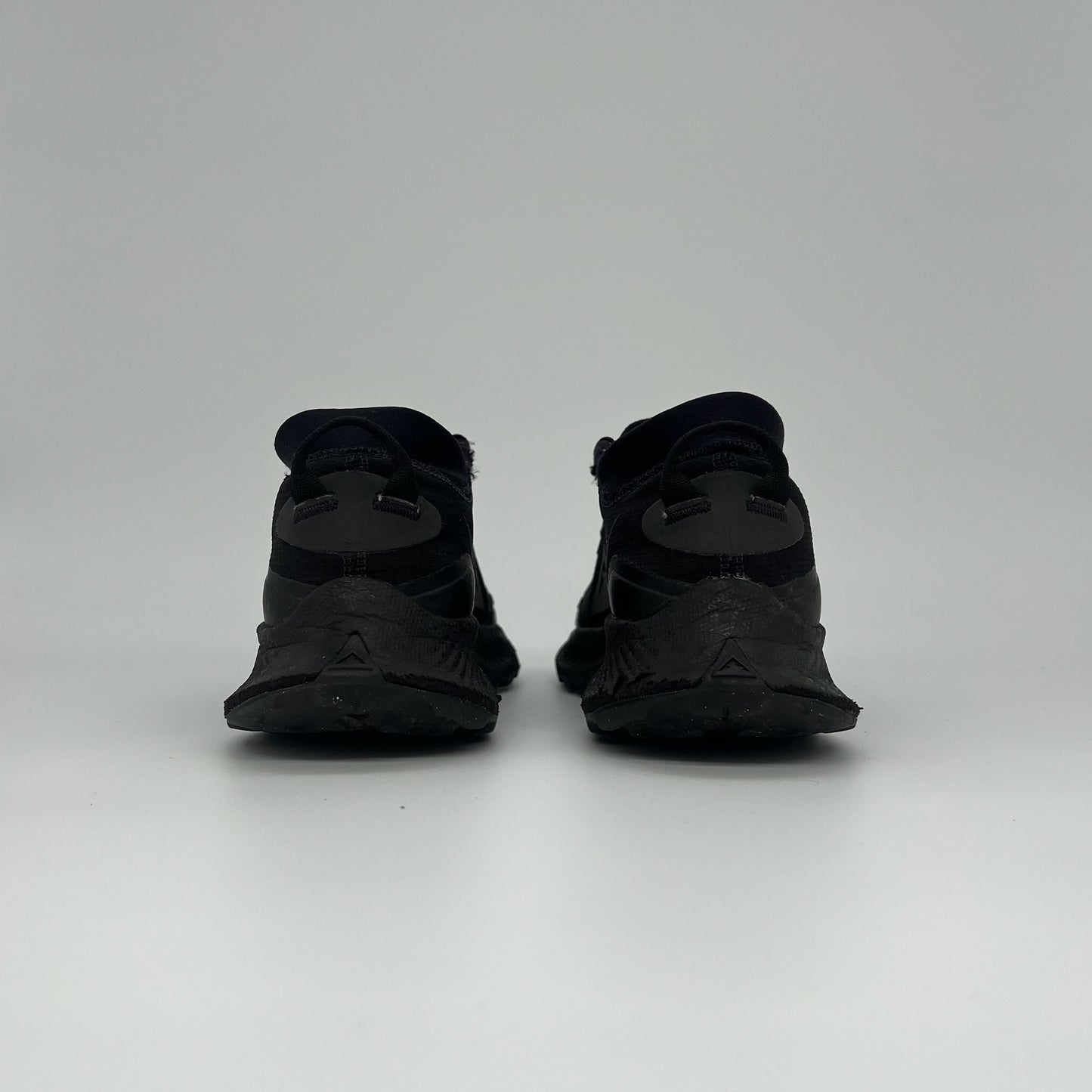 Nike Pegasus Trail Goretex