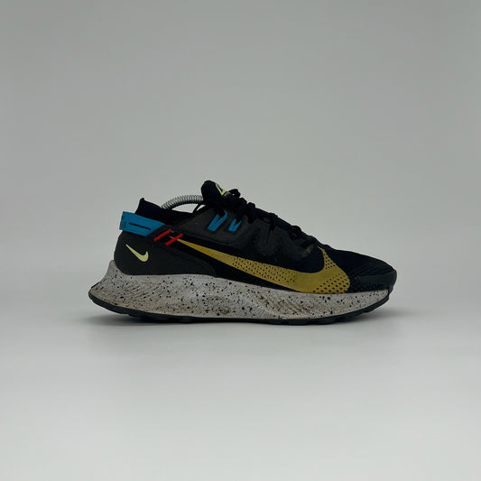 Nike Pegasus Trail